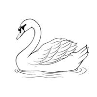 Elegant Swan Floating On Water Line Art Illustration Graphic vector