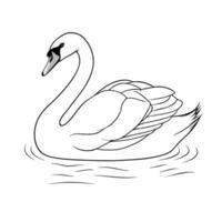Elegant Swan Floating On Water Line Art Illustration Isolated vector