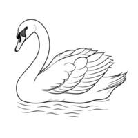 Elegant Swan Floating On Water Line Art Illustration Design vector