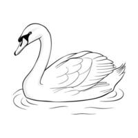 Elegant Swan Illustration Floating Gracefully On Water In Black And White Style vector