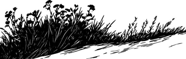 Vintage woodcut illustration of a wildflower patch in a natural setting vector