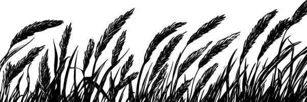 Vintage woodcut illustration capturing a serene field of tall grass swaying in the breeze vector
