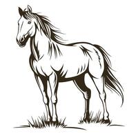 Elegant Horse Illustration Standing Gracefully In Field Outline Style vector