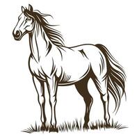 Elegant Brown Horse Illustration Standing Calmly On Grass In Format vector