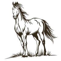 Majestic Horse Standing In Grass Illustration Simple And Elegant Design vector