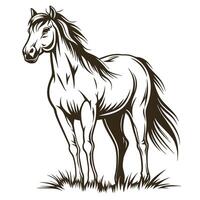 Elegant Horse Standing In Grass Illustration With Clean Lines And Details vector