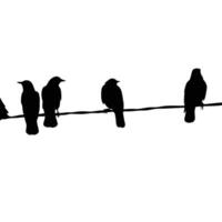 Silhouette Birds Perched On Wire Against White Background Minimalist Composition vector