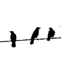 Birds Silhouettes On A Wire Artistic Minimalism Clean Design On White Background vector