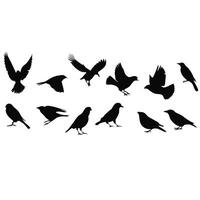 Bird Silhouettes Collection Of Flying And Perching Poses Against White Background vector