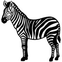 Zebra Illustration Standing Side View Black And White Striped Pattern Design vector