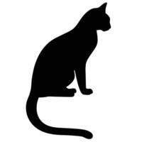 Elegant Cat Silhouette Sitting Upright Design On A Clean White Background vector