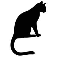 Elegant Black Cat Silhouette Isolated On White Background Graphic Resource Illustration vector