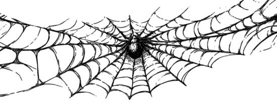 Vintage woodcut illustration showcasing a detailed spiderweb design with intricate patterns vector