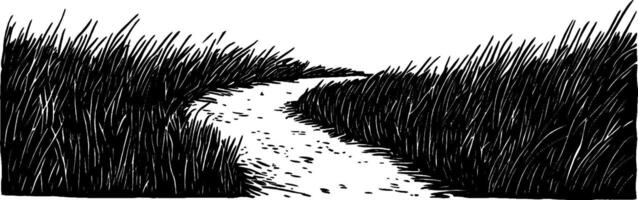 Vintage woodcut illustration depicting a winding path through tall grass vector
