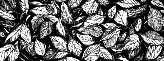 Vintage woodcut illustration showcasing an array of scattered leaves on a dark background vector