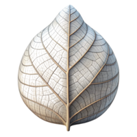 wonderful minimalist Algorithmic Root System Cutout Networked Structure Isolated genuine png