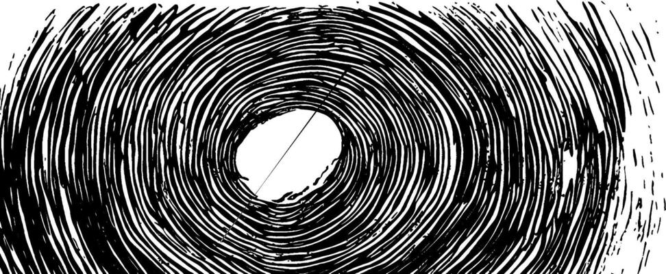 Detailed vintage woodcut illustration showcasing intricate tree rings and growth patterns