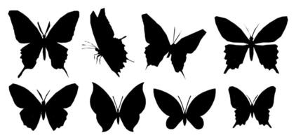 Butterfly silhouette with black pattern. Tattoo design on background with cute wings. Simple graphic icon and outline. Magical insect art element for summer. vector