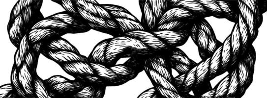 Intricate design of interlaced ropes in vintage woodcut style showcasing craftsmanship and detail vector