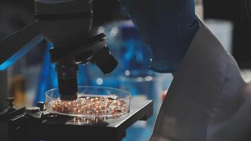 A person is looking at a microscope with a glass bowl video