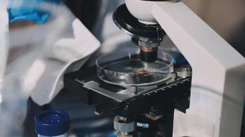 A microscope is being used to look at a sample video