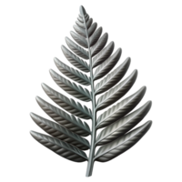 beautiful classic Fern Leaf Silhouette with Transparent Background Cutout genuine png