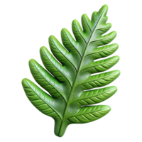 stunning modern Fern Leaf Closeup Cutout with Detailed Texture authentic png