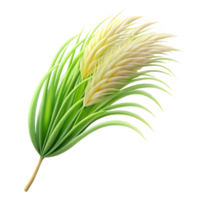 wonderful artistic Flowing Grass Blades Cutout Isolated Side View premium png