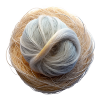 beautiful traditional Fragile Gossamer Threads Macro View Cutout png