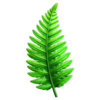 dramatic creative Green Fern Frond Silhouette Isolated Transparent Background authentic png