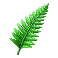 extraordinary artistic Green Fern Fronds Cutout Isolated on Transparent Background authentic png