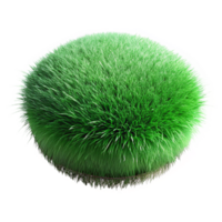 dramatic contemporary Green Grass Tuft Isolated on Transparent Background authentic png