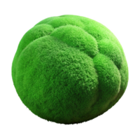 elegant rustic Green Moss Transparent Background Isolated professional png