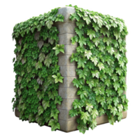 vibrant abstract Ivy Covered Wall Section Close Up Isolated genuine png