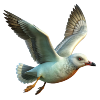 serene contemporary Seagull in Flight Transparent Background Coastal Scene genuine png
