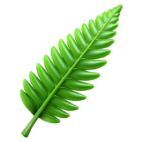 wonderful traditional Single Fern Frond Isolated Vibrant Green Color png