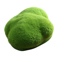 magnificent classic Synthetic Moss Cutout Textured Surface Isolated Element detailed png