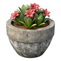 serene vintage Weathered Concrete Planter with Flowers Cutout authentic png