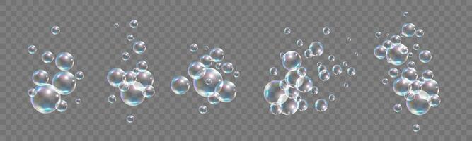 Realistic soap bubbles with rainbow reflection vector