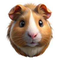 gorgeous coastal A portrait of a guinea pig with Transparent Background gallery standard png