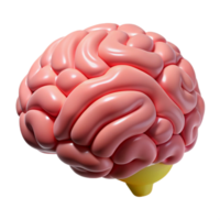 impressive rare A human brain, intricately detailed and scientifically accurate with Transparent Background png