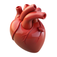 wonderful vintage A stylized human heart, anatomically correct, pulsating gently with Transparent Background top-tier png