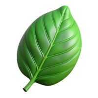 remarkable artistic A single, perfect green leaf, with visible veins and texture with Transparent Background top-tier png