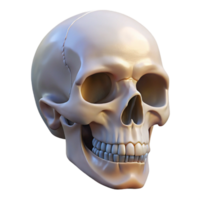 majestic vintage Professional render, isolated cutout of a hyper-specific, decaying apple with a miniature human skeleton visible inside with Transparent Background premium png