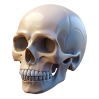 stunning reflective gothic Hyper-specific professional render of a single human skull, anatomical accuracy, isolated cutout with Transparent Background top-tier png