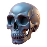spectacular remarkable A stylized human skull with intricate details with Transparent Background png
