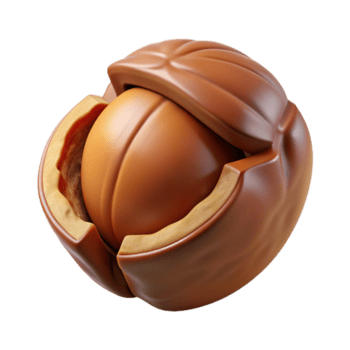 glorious impressionist Isolated cutout, concept art style, hyper-specific rendering of a single, cracked walnut shell revealing the nut inside with Transparent Background masterfully captured png