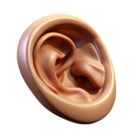 fascinating whimsical vintage Hyper-specific professional render of a single human ear with intricate details and realistic textures Isolated cutout with Transparent Background 4K png