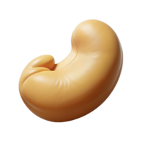 impressive rare Concept art style hyper-specific image of a single cashew nut, shelled, with Transparent Background png