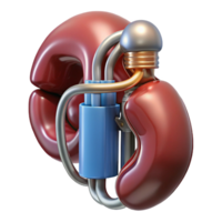 iconic renaissance Hyper-specific, photorealistic render of a biomechanical artificial kidney, isolated cutout with Transparent Background 8K png